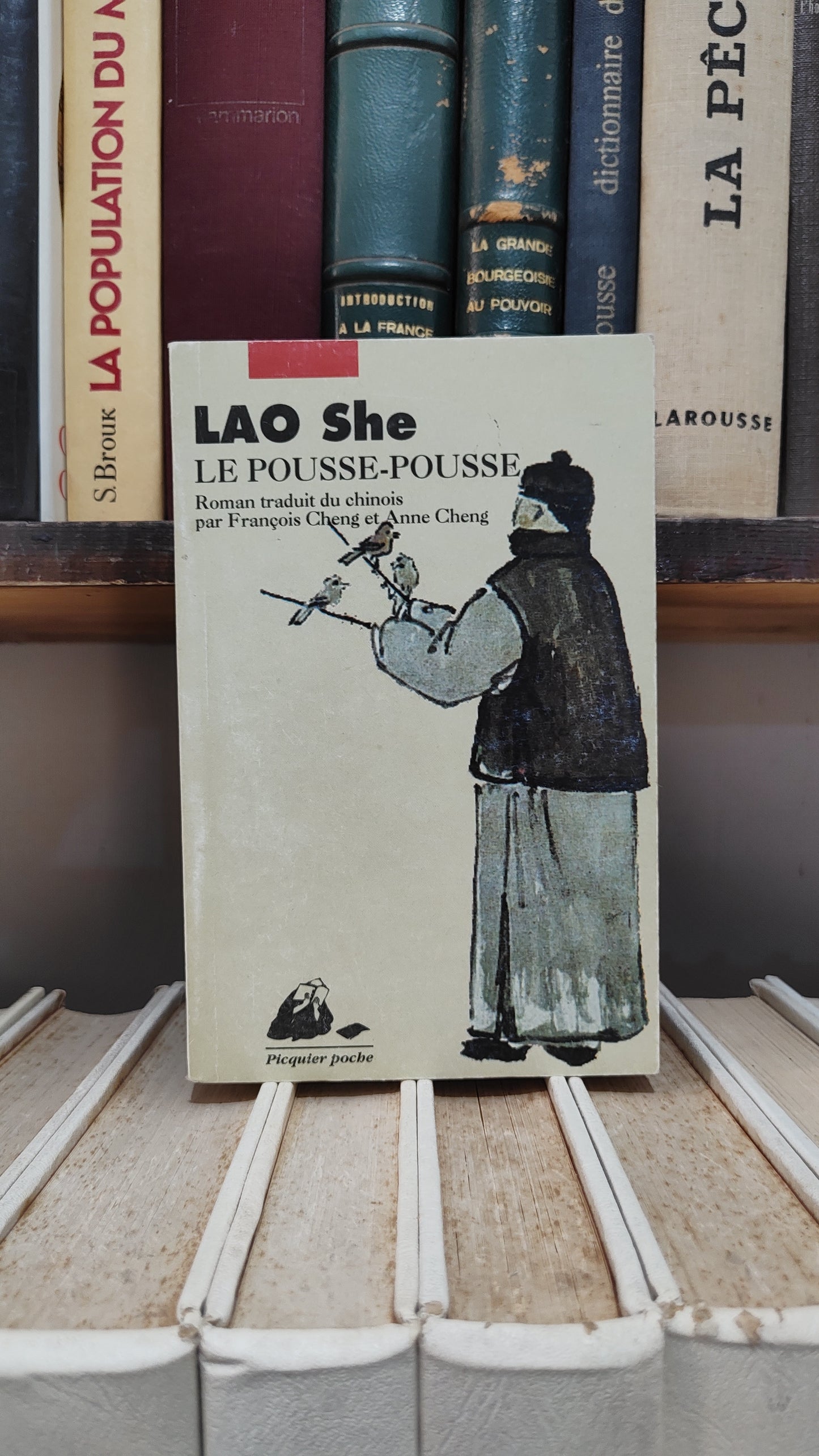 She - Le pousse pousse
