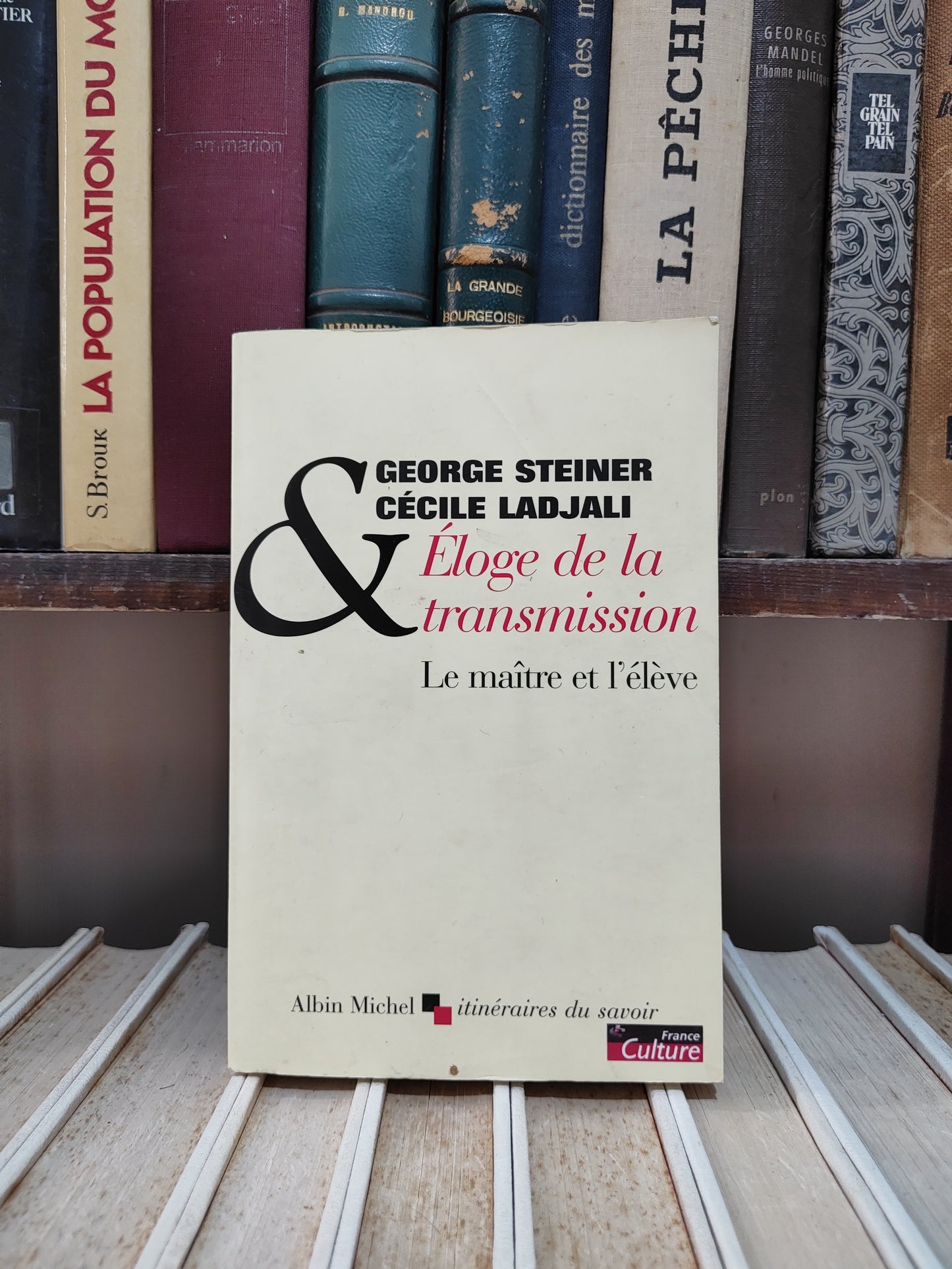 Steiner - Éloge de ma transmission