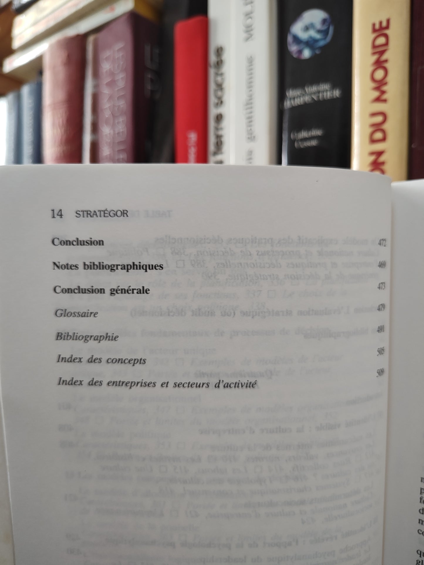 Strategor : Stratégie, structure, décision, identité ; Politique générale d'entreprise