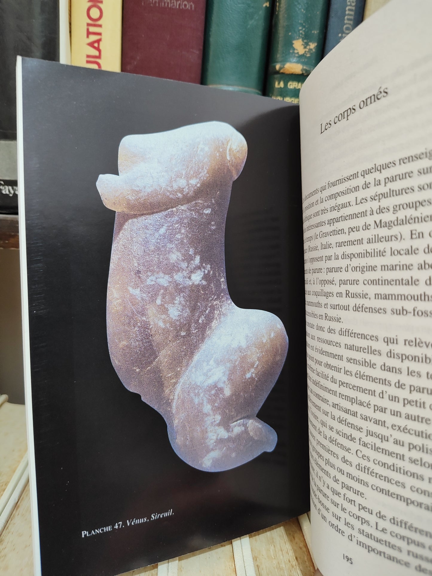 Taborin - Langue sans parole : La parure aux temps préhistorique