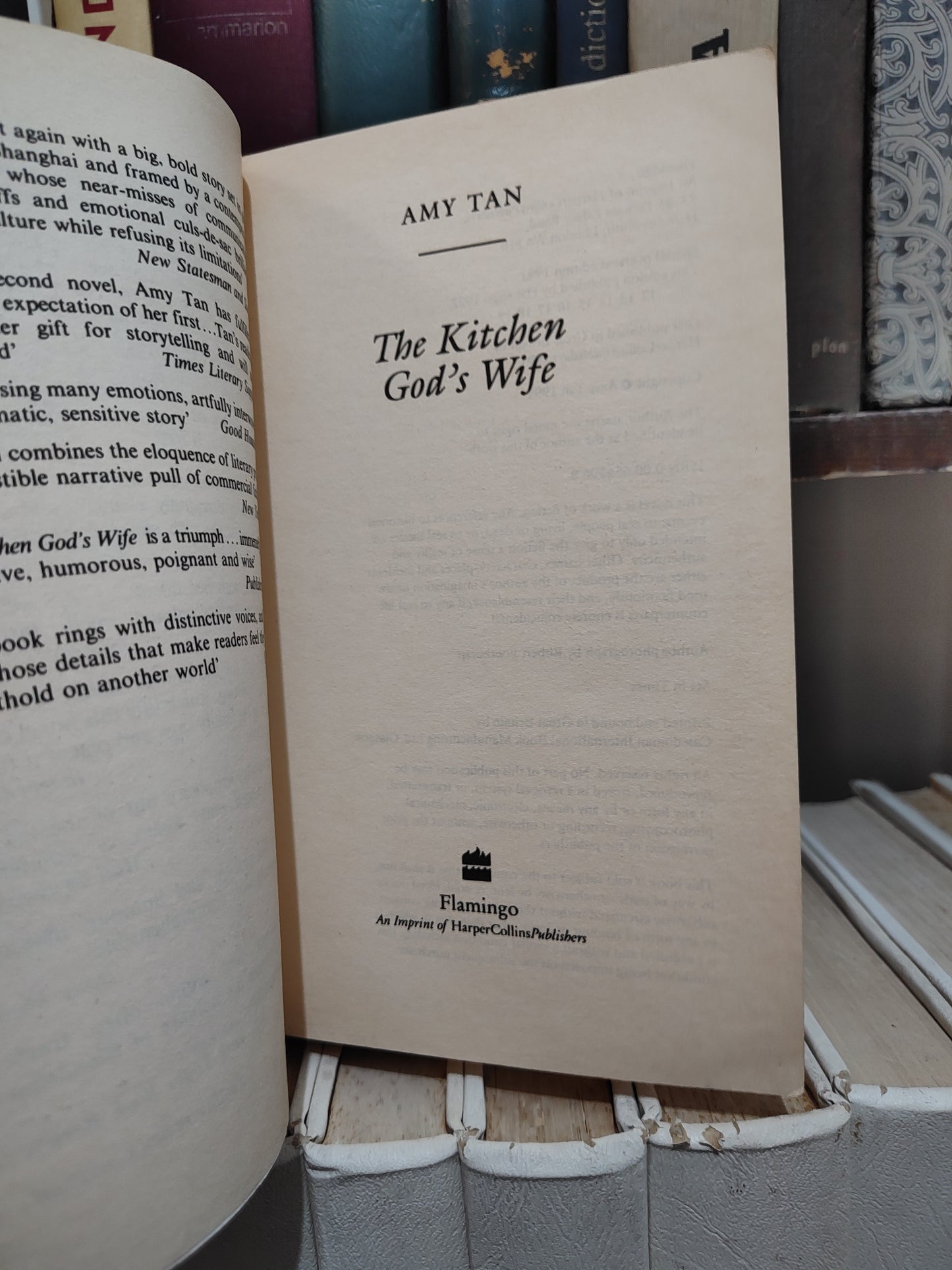 Tan - The Kitchen God's wife