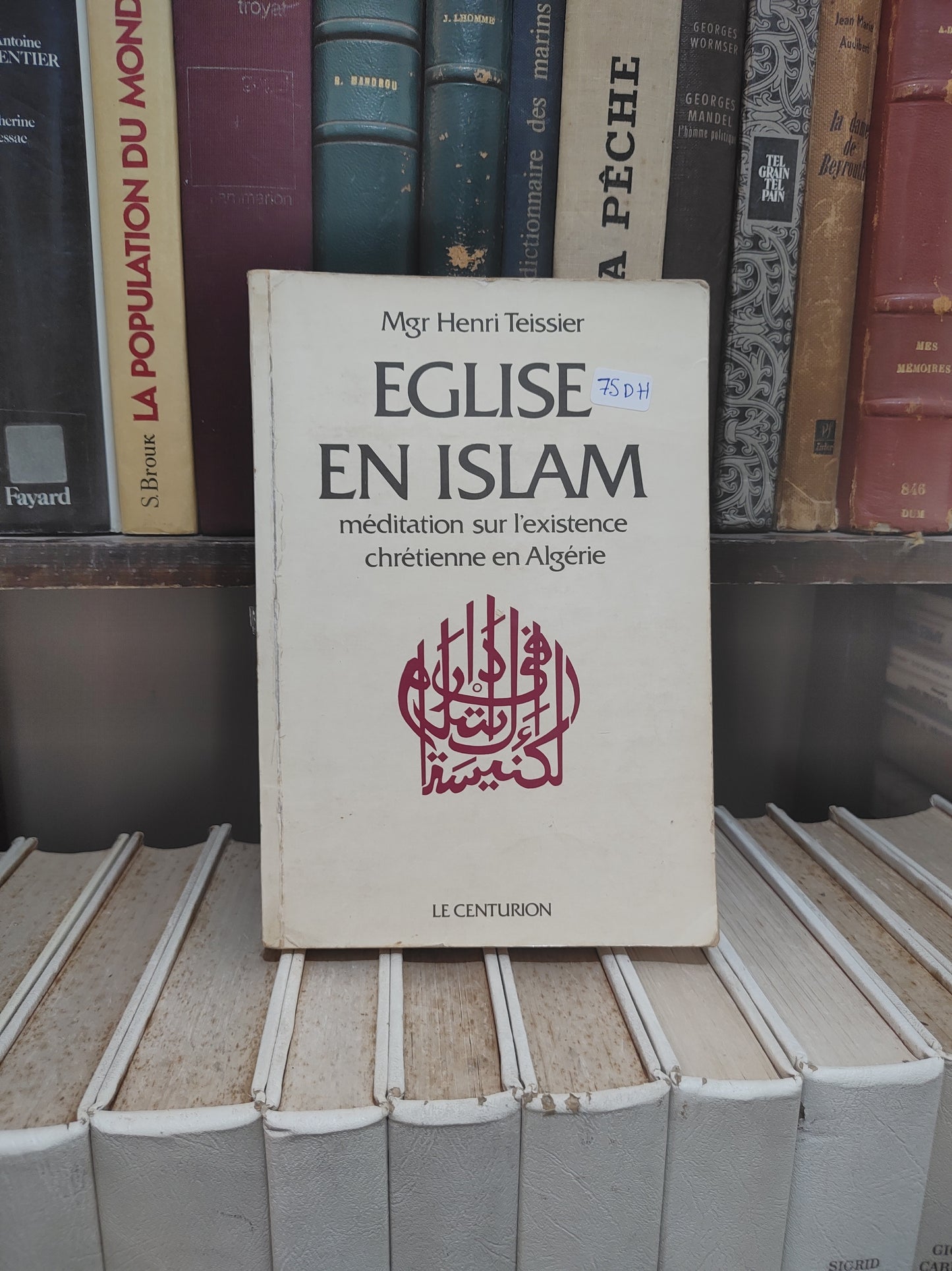 Teissier - Église en Islam : Méditation sur l'existence chrétienne en Algérie