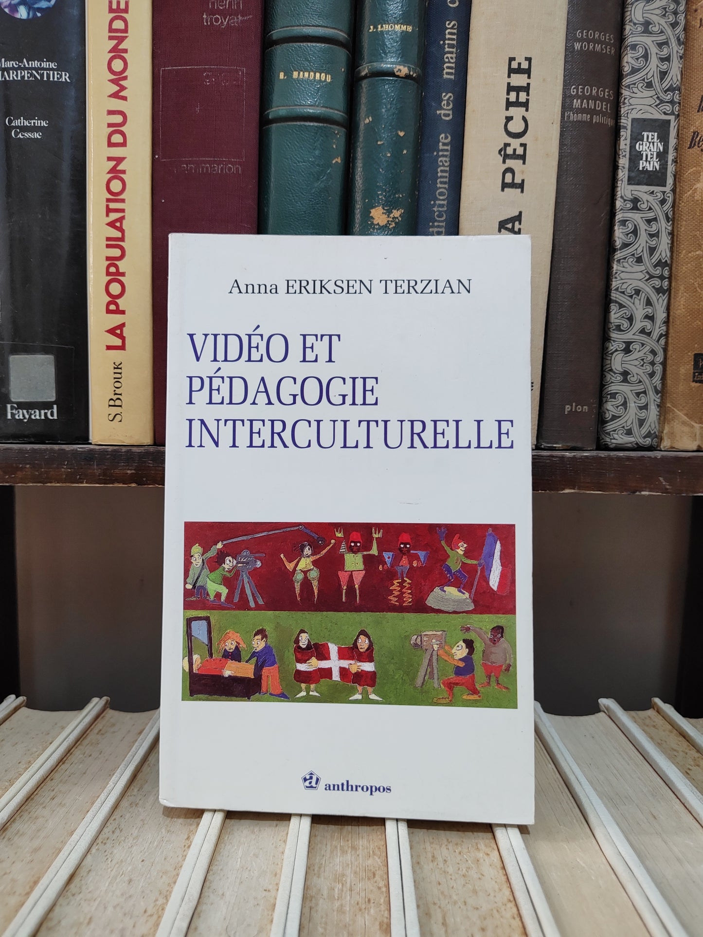 Terzian - Vidéo et pédagogie interculturelle