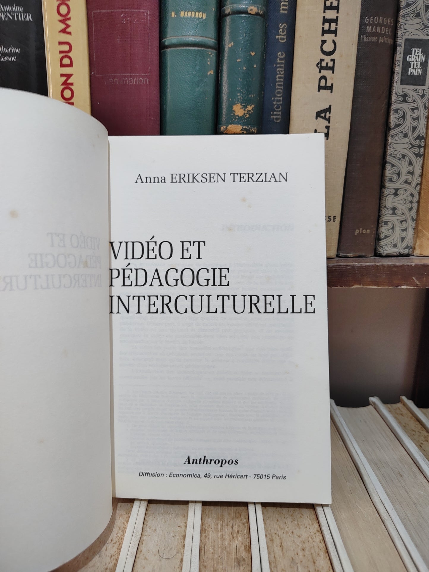 Terzian - Vidéo et pédagogie interculturelle