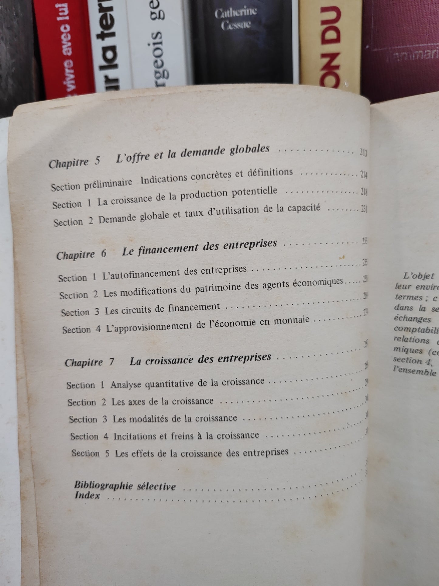 Triolaire - L'entreprise et son environnement économique
