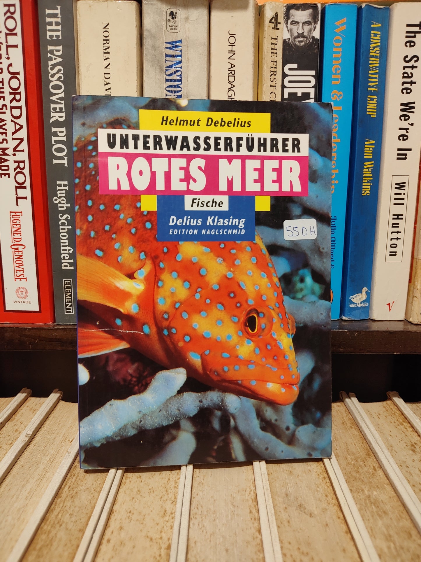Unterwasserfuhrer Rotes Meer Fische