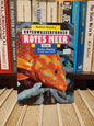 Unterwasserfuhrer Rotes Meer Fische