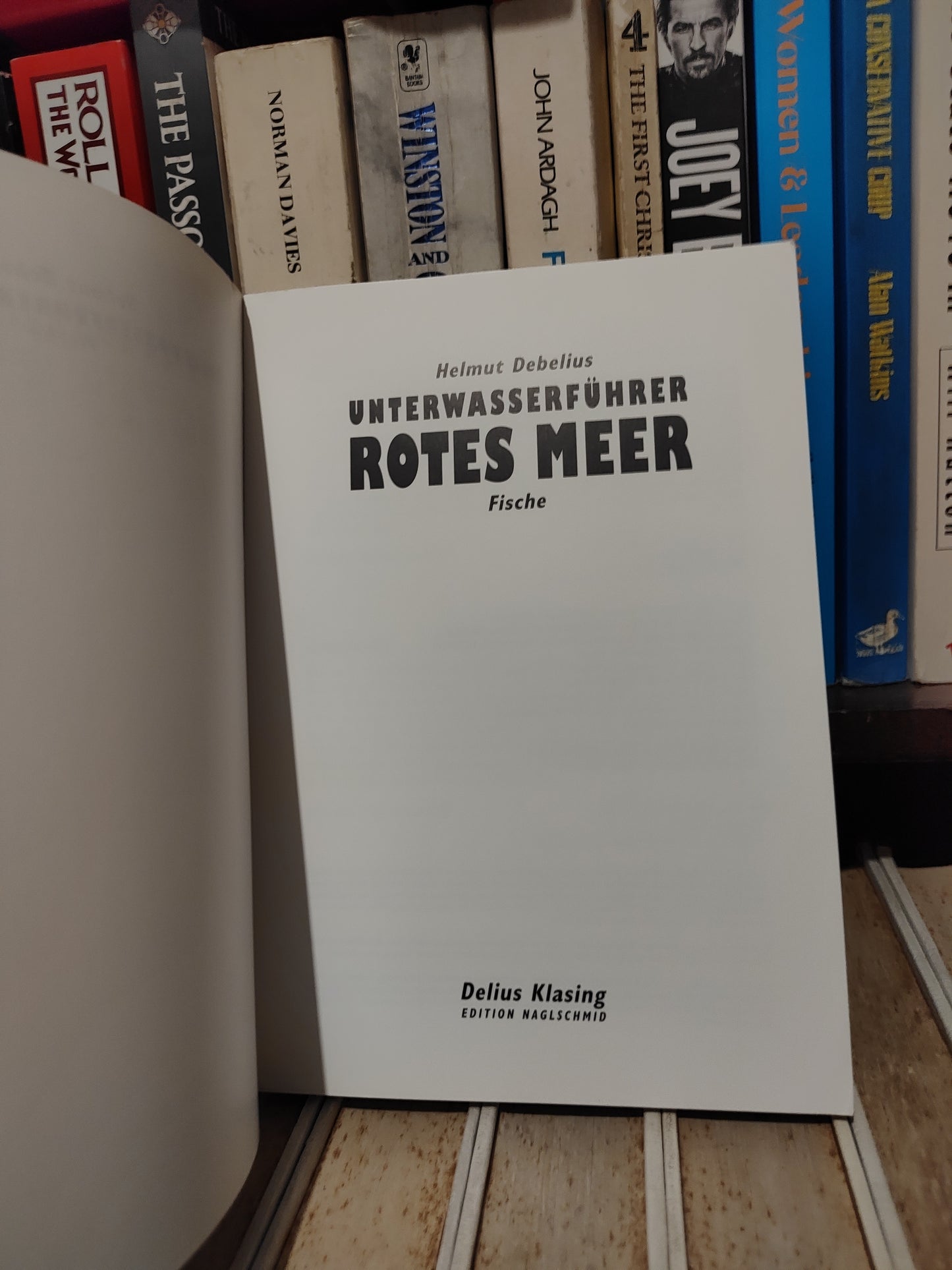 Unterwasserfuhrer Rotes Meer Fische