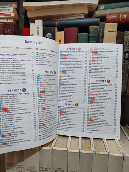 Vivre les math CE2 Guide pédagogique