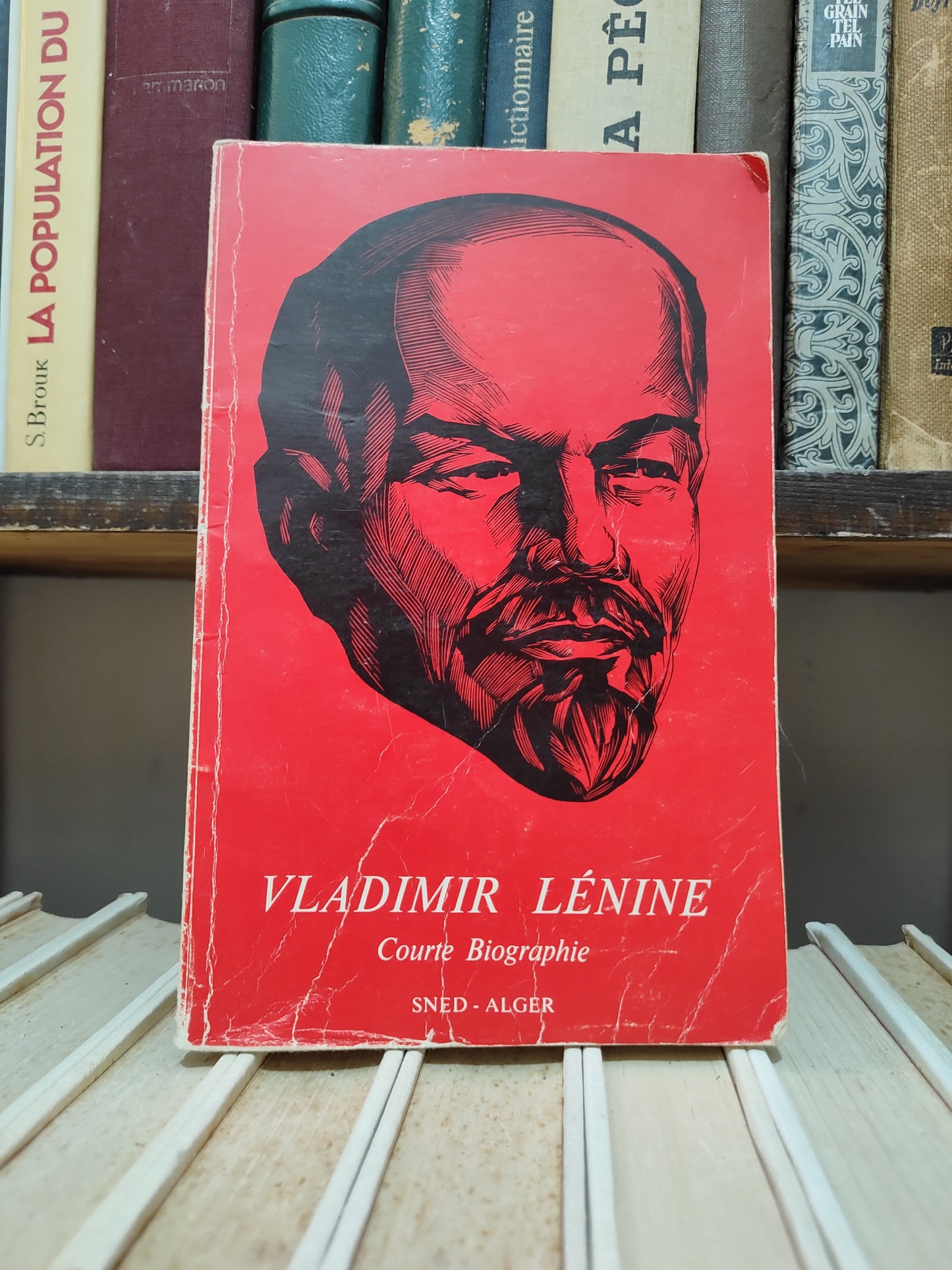 Vladimir Lénine : Courte biographie