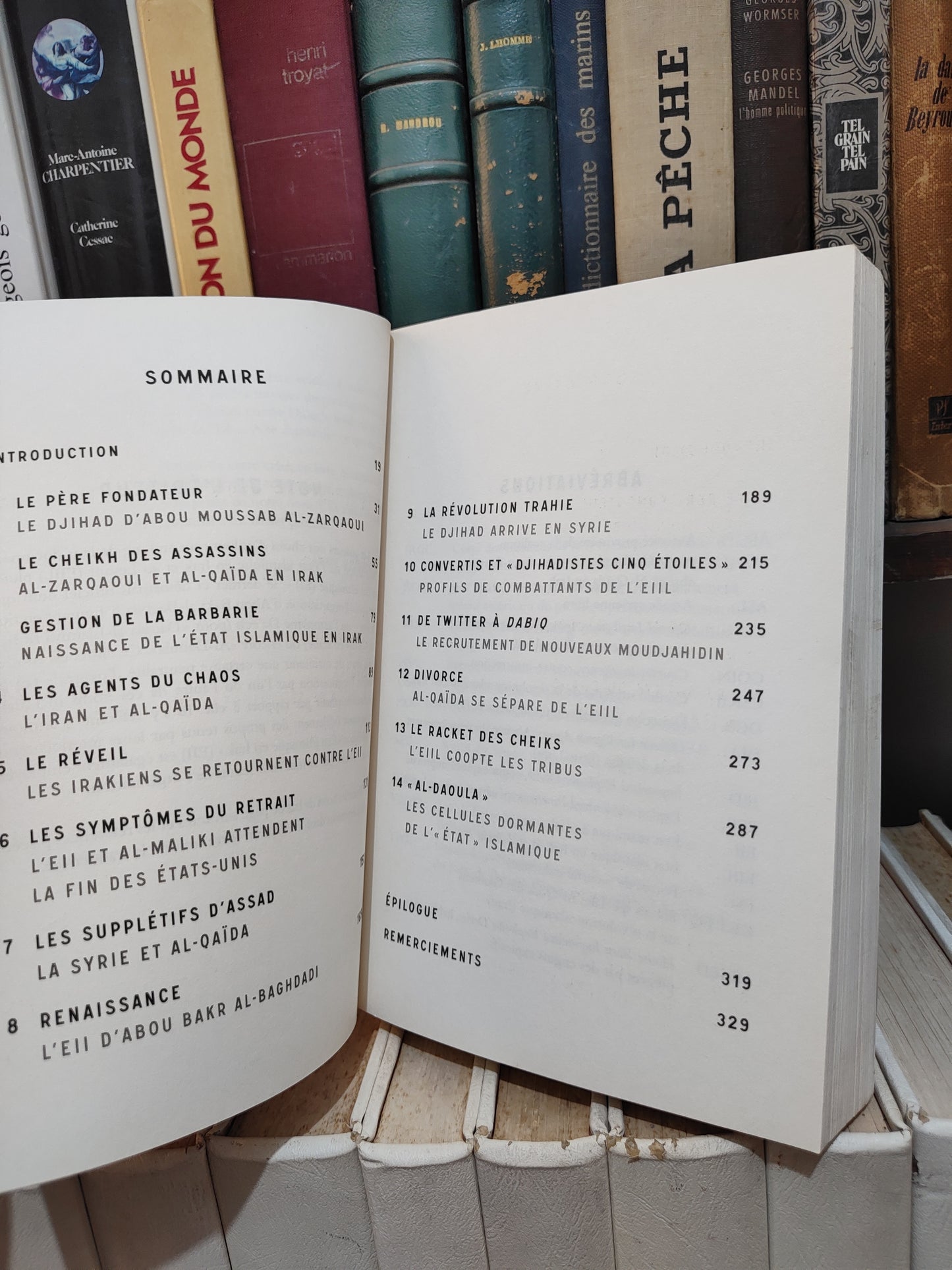 Weiss - État Islamique : Au cœur de l'armée de la terreur