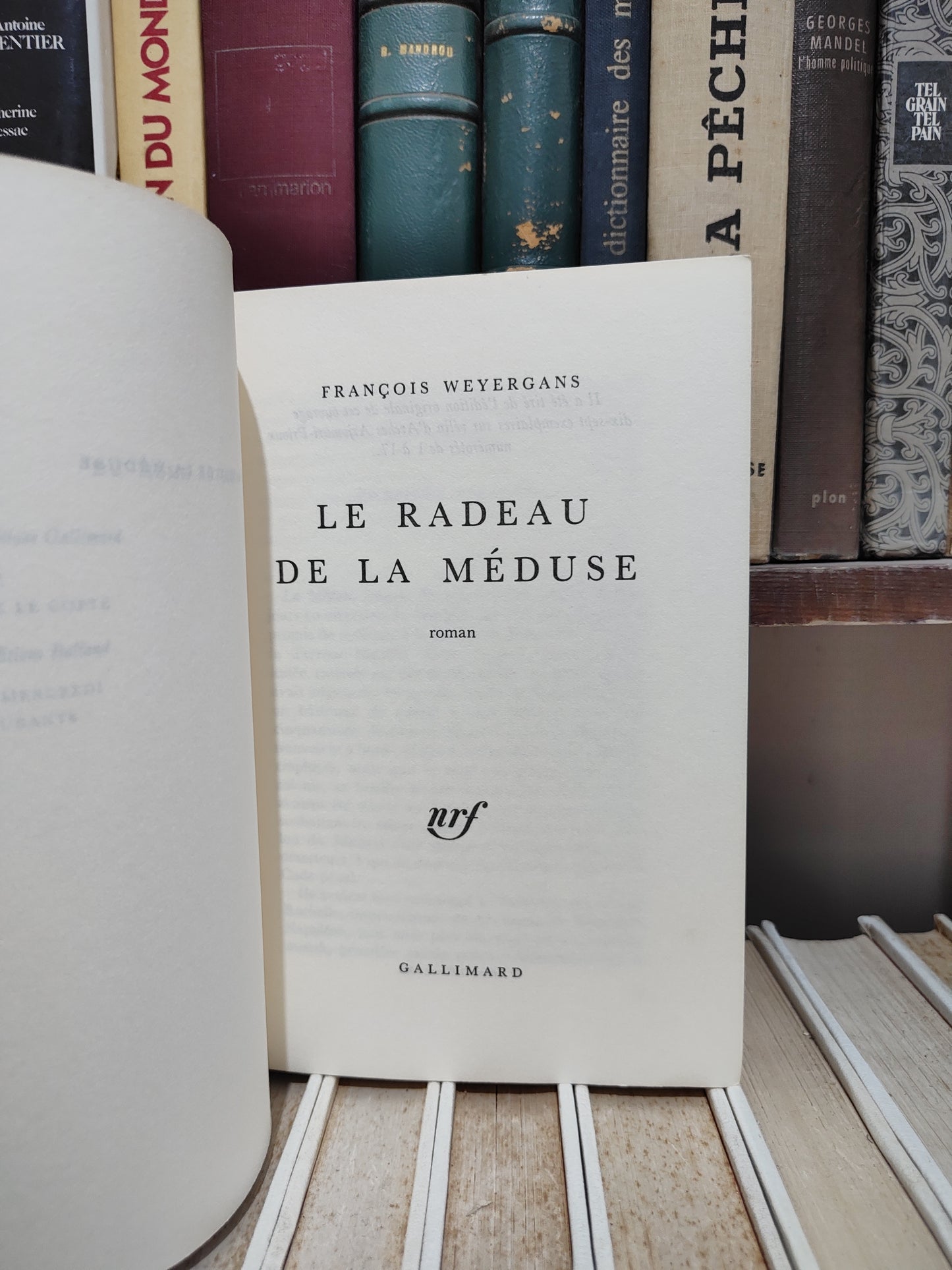 Weyergans - Le Radeau de la Méduse