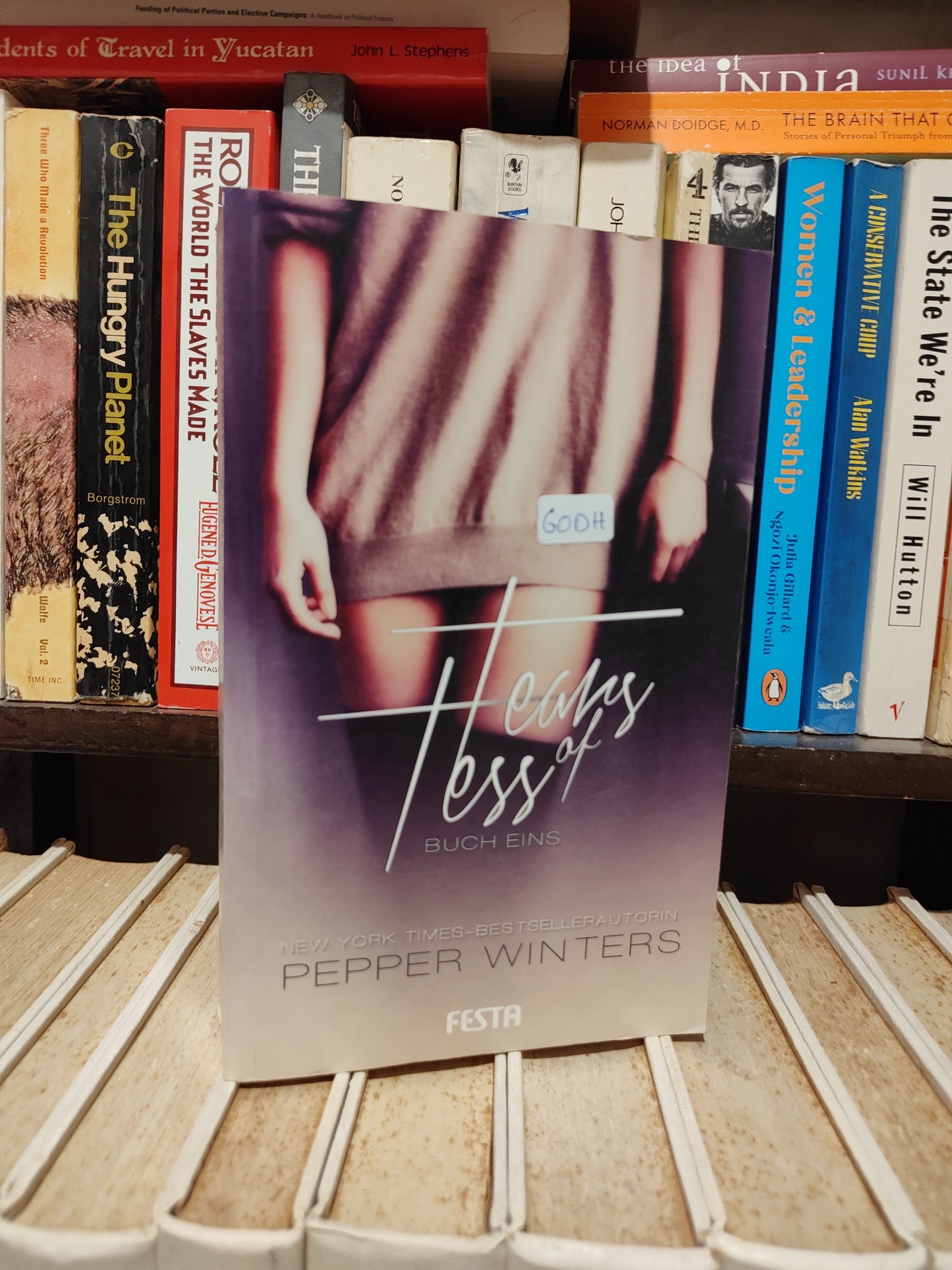 Winter - Tears of tess Buch 1
