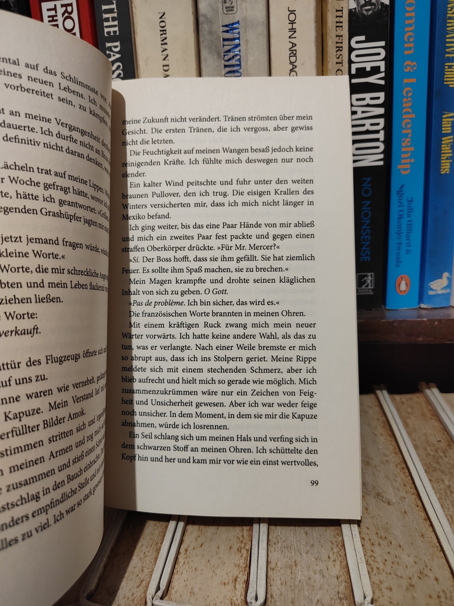 Winter - Tears of tess Buch 1
