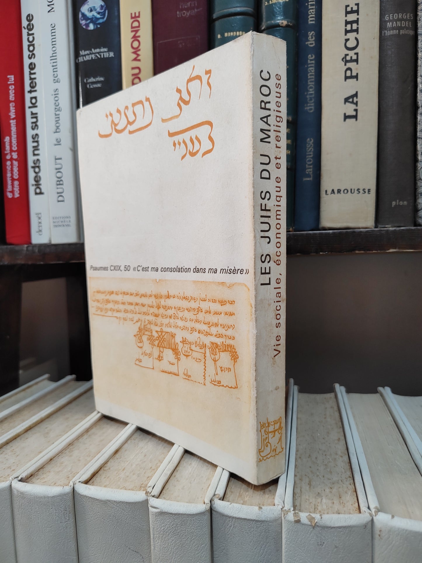 Zafrani - Les juifs du Maroc : Vie sociale, économique et religieuse ; études de Taqqanot et Responsa