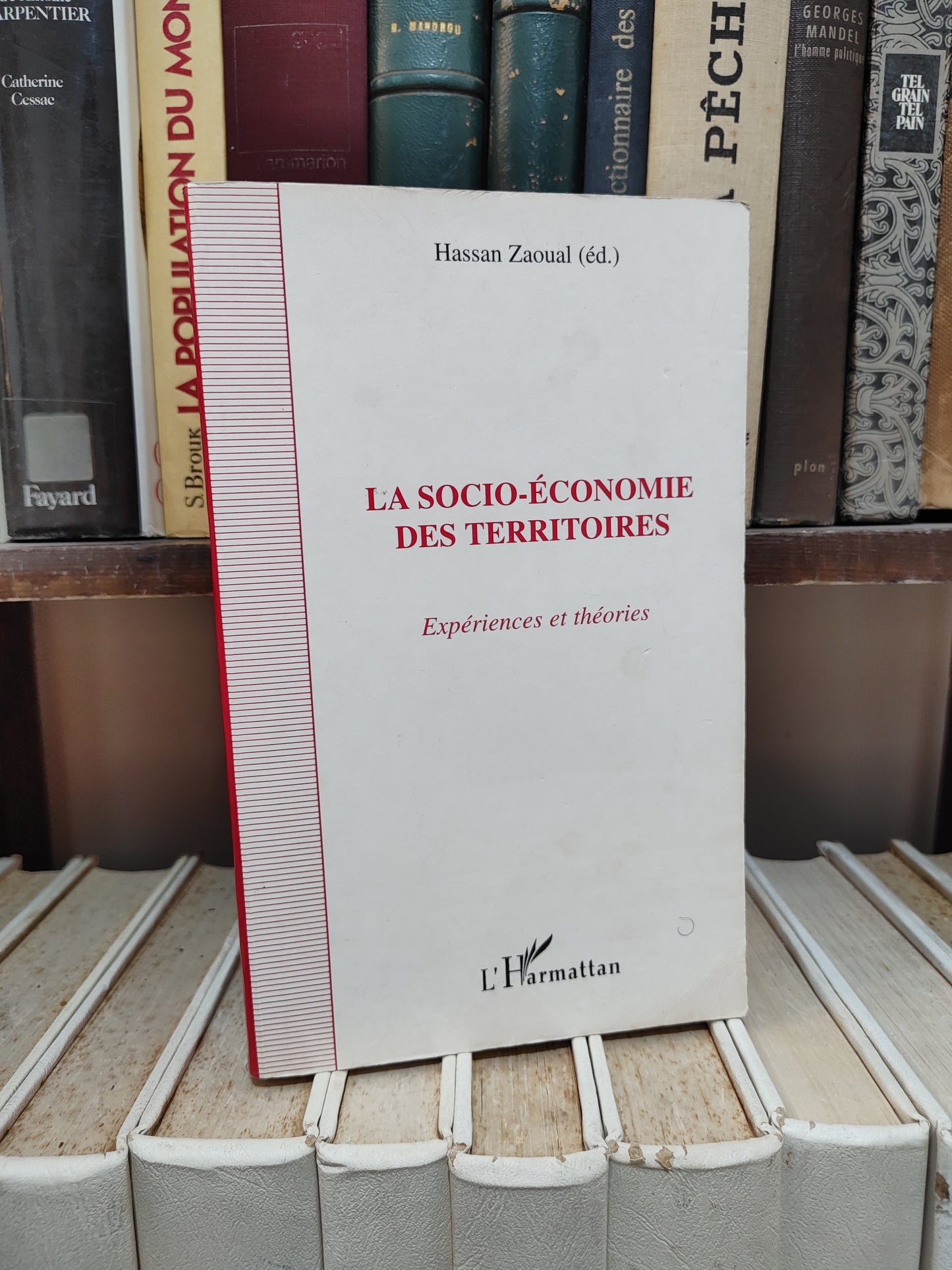 Zaoual - La socio économie des territoires