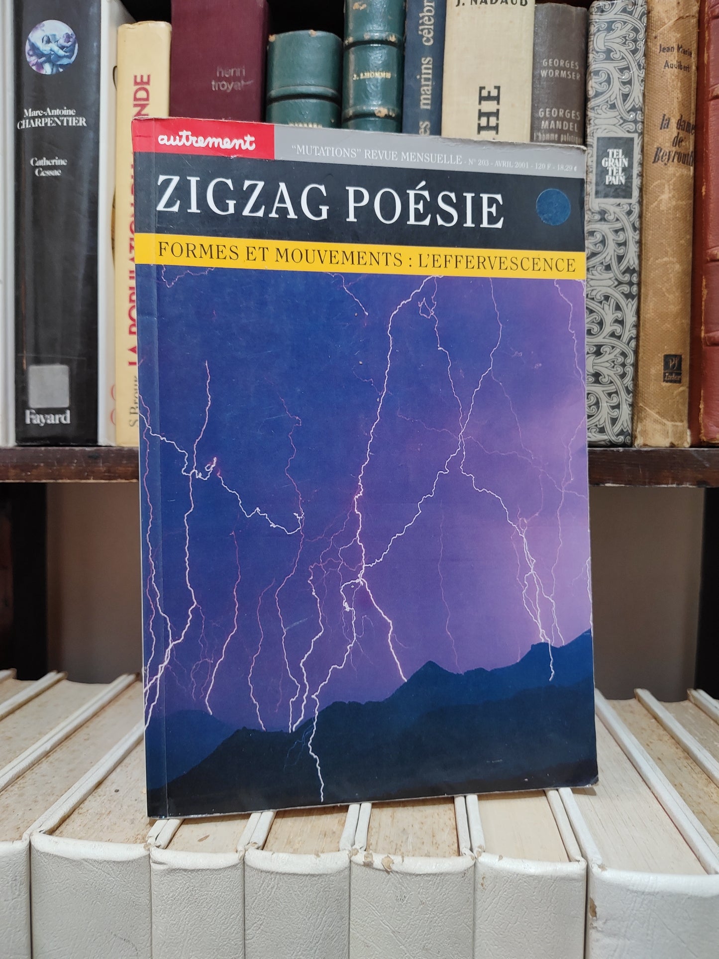 Zigzag Poésie ; Forme et mouvements ; l'effervescence