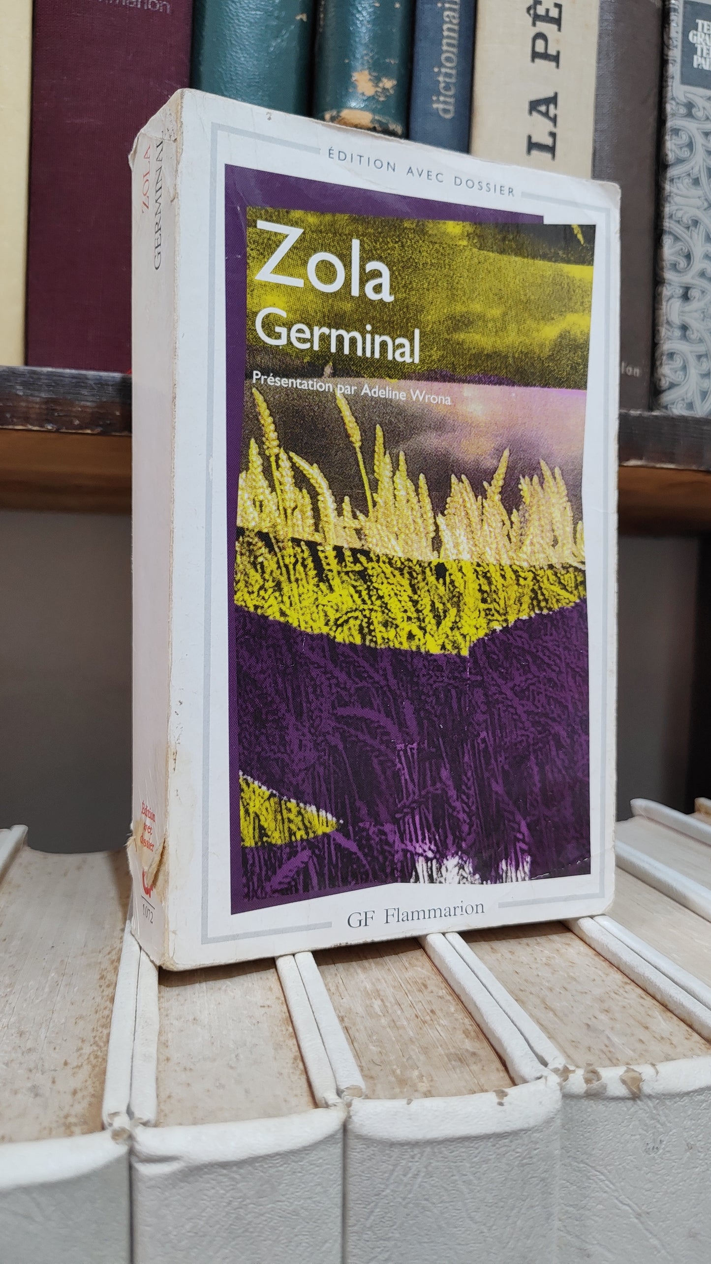 Zola - Germinal