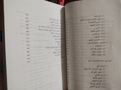 الفهري - اللسانيات و اللغة العربية
