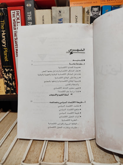 سهيل - الاقتصاد السياسي