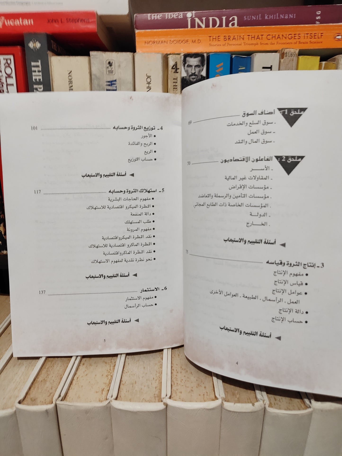 سهيل - الاقتصاد السياسي