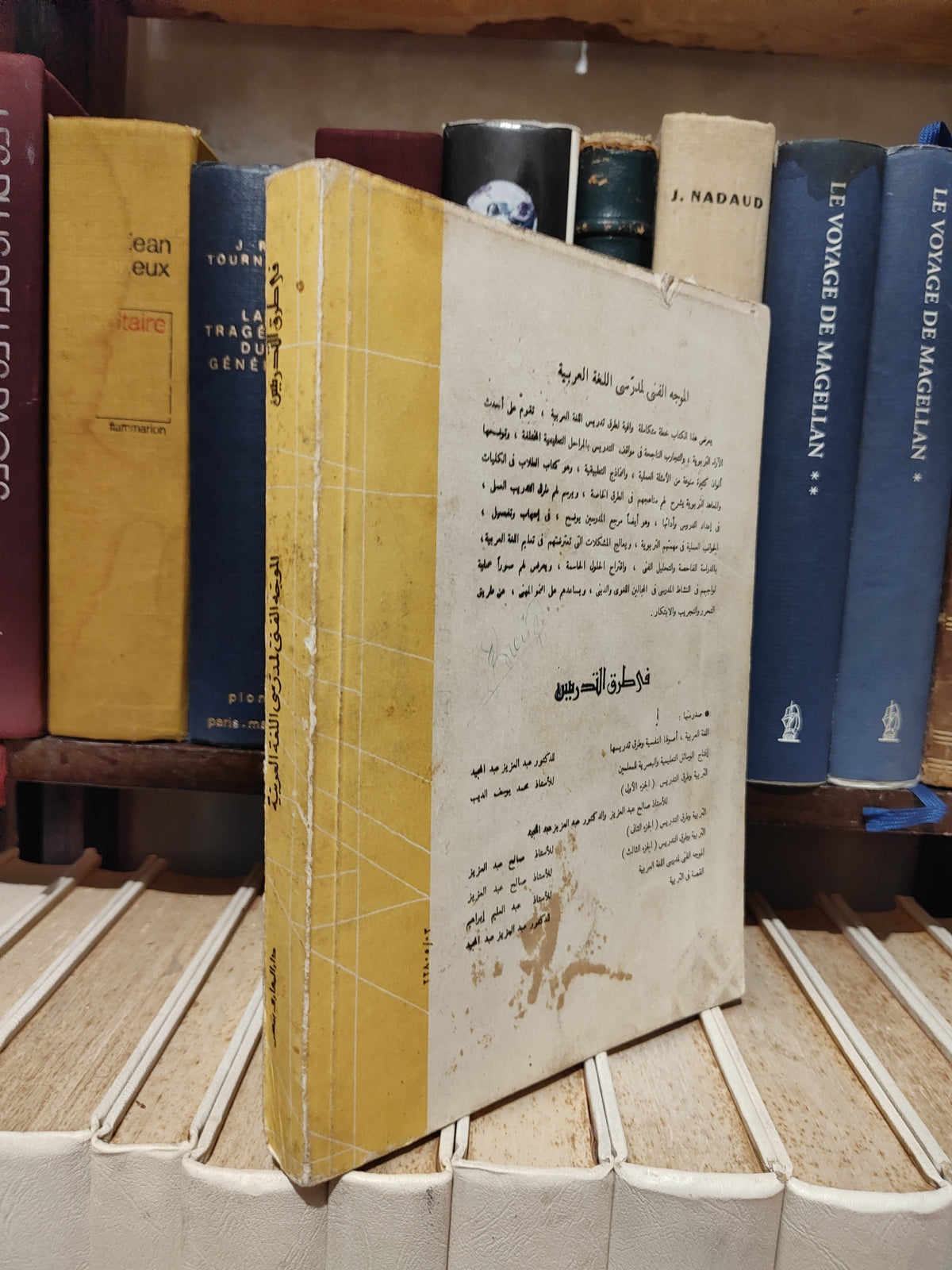 ابراهيم - الموجه الفني لمدرسي للغة العربية