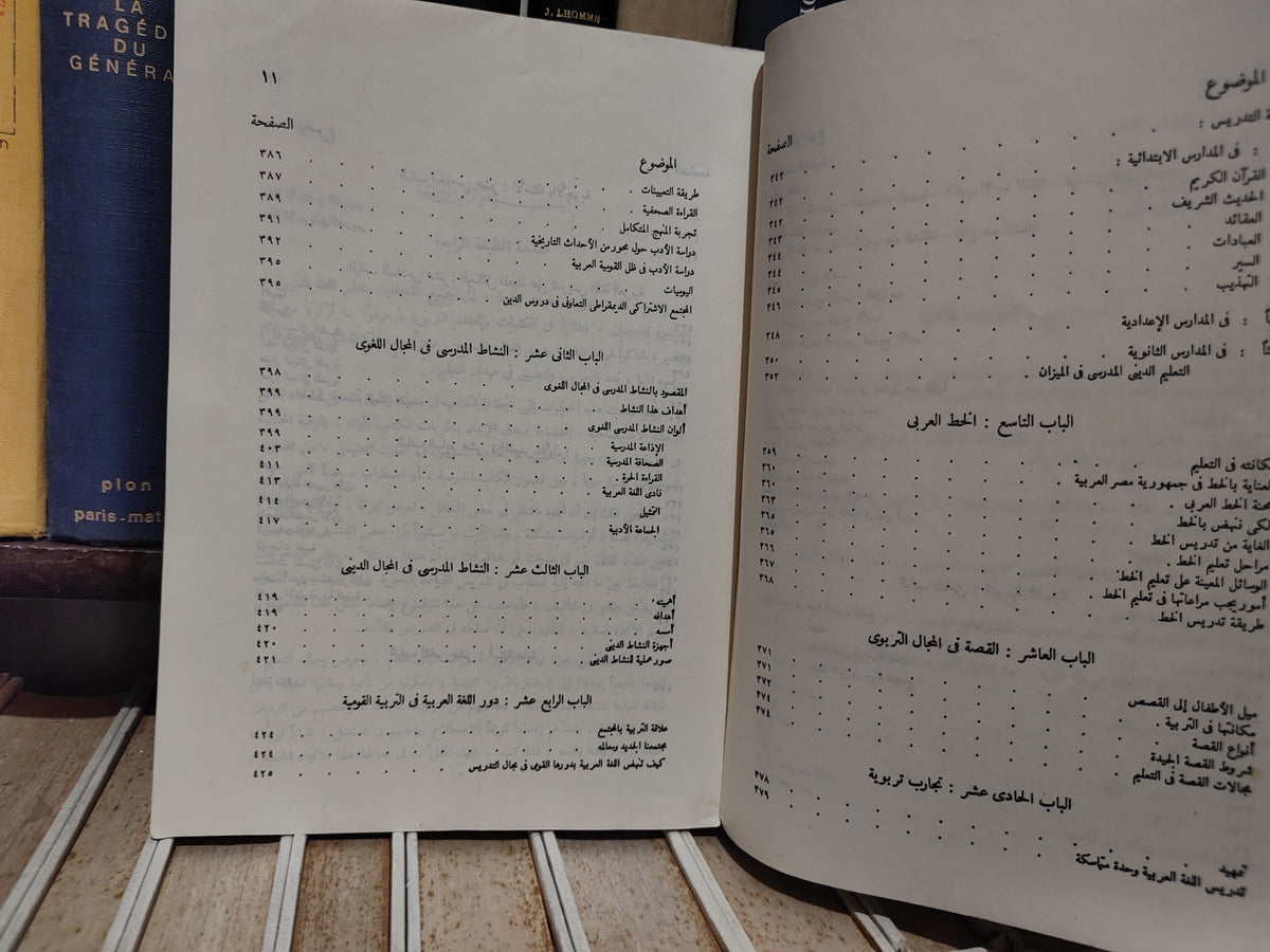 ابراهيم - الموجه الفني لمدرسي للغة العربية