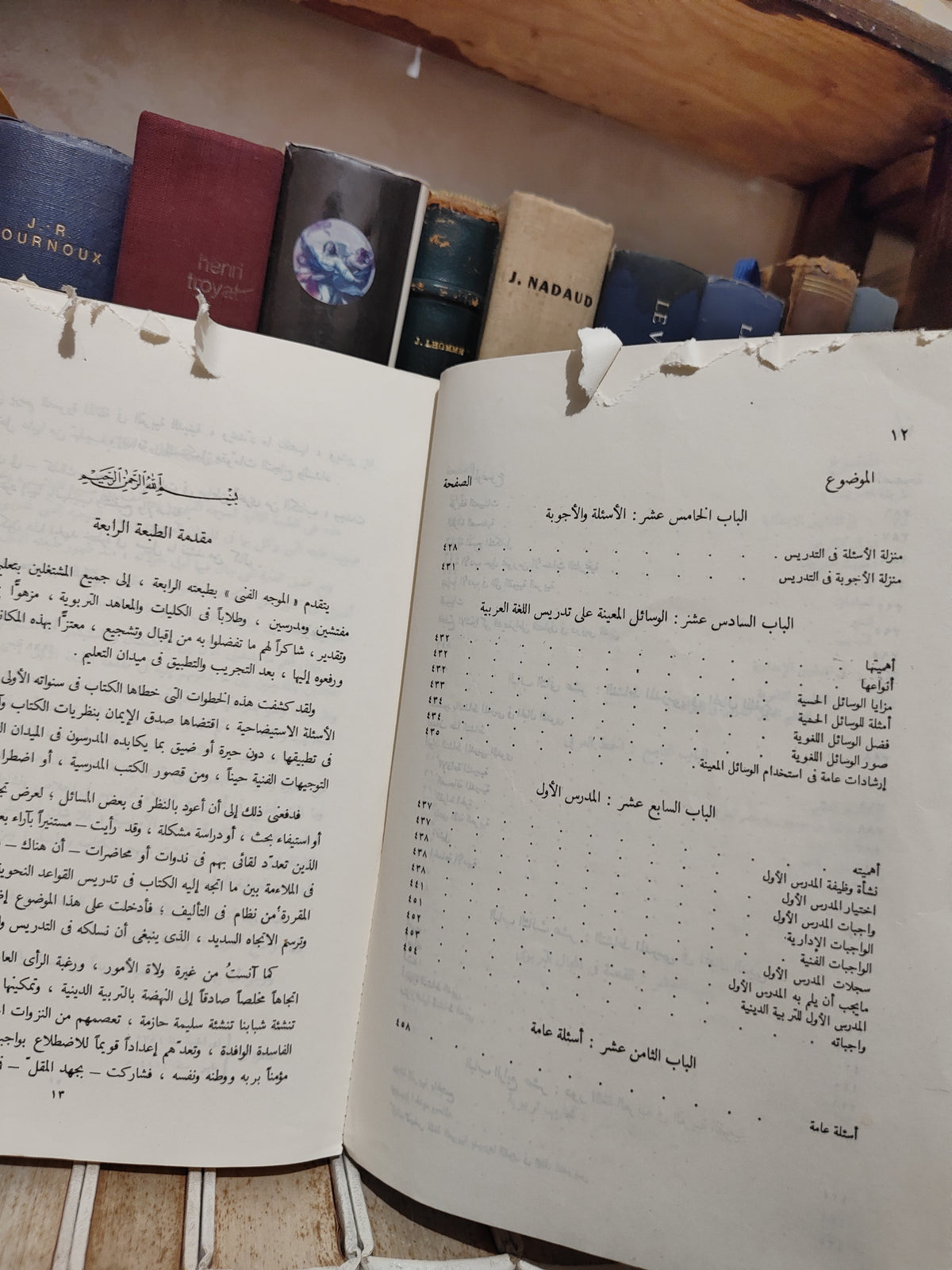 ابراهيم - الموجه الفني لمدرسي للغة العربية