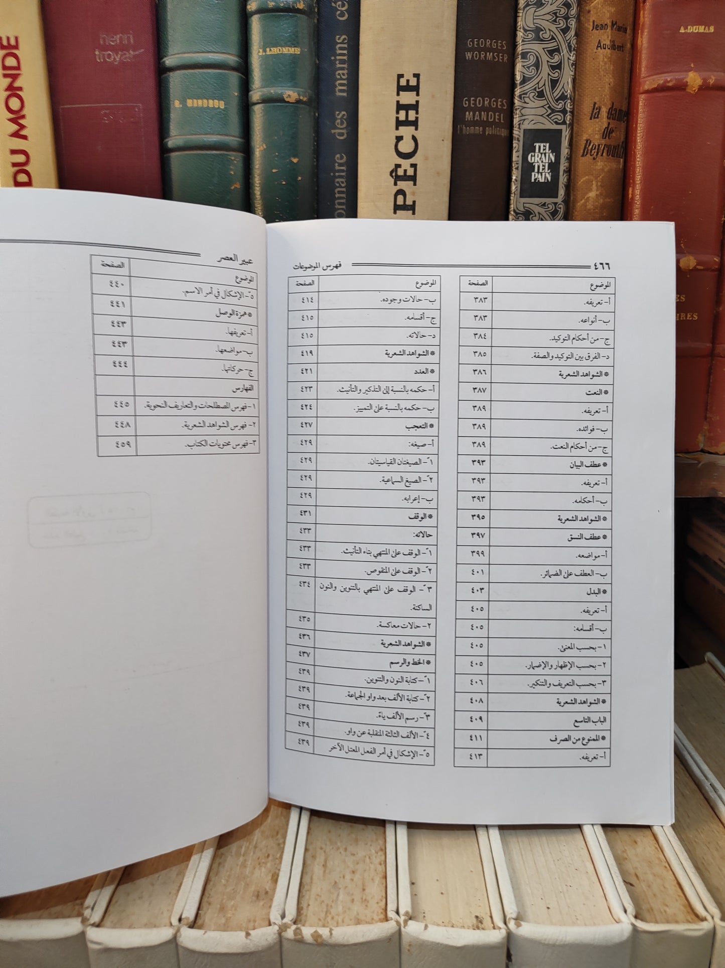 الفقيه - عبير العصر الجامع بين الشذور و القطر