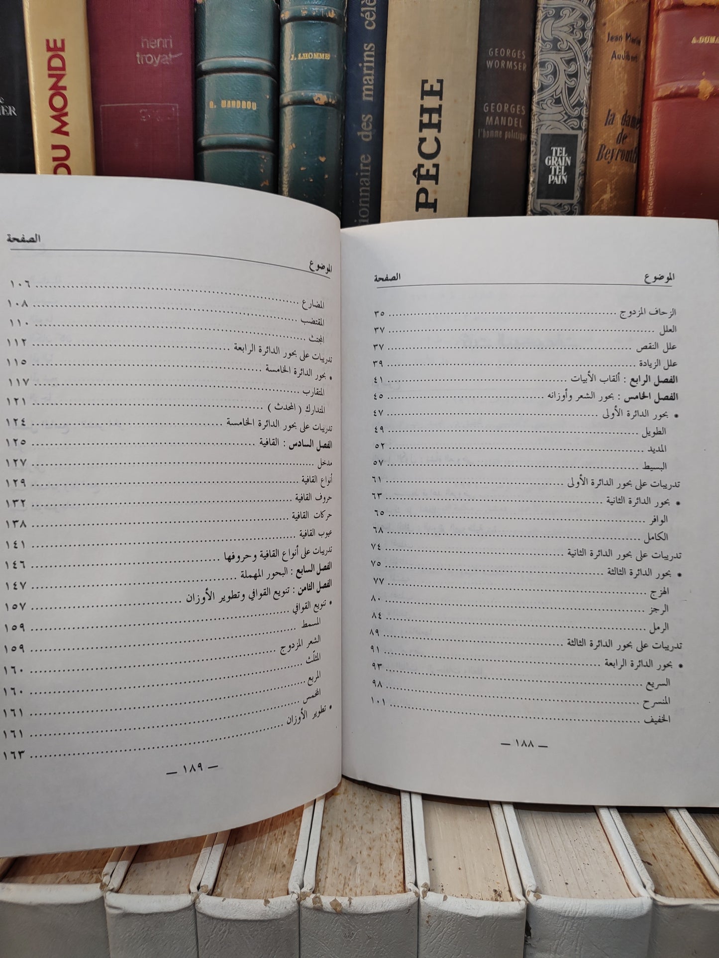 غزة - المستشار في العروض و موسيقا الشعر