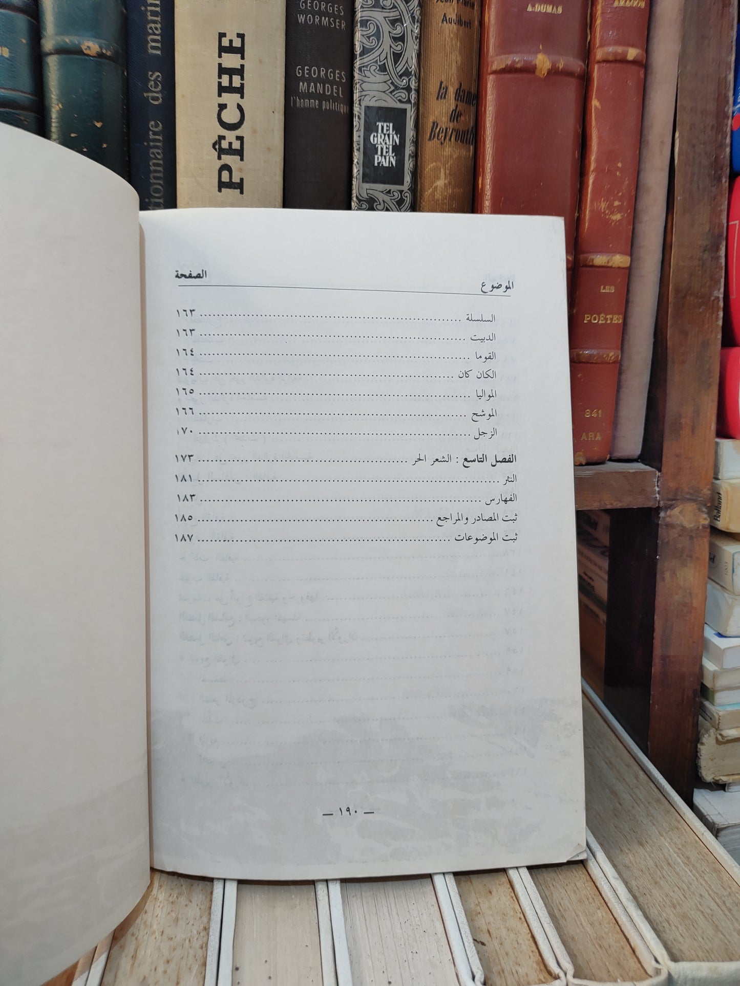 غزة - المستشار في العروض و موسيقا الشعر