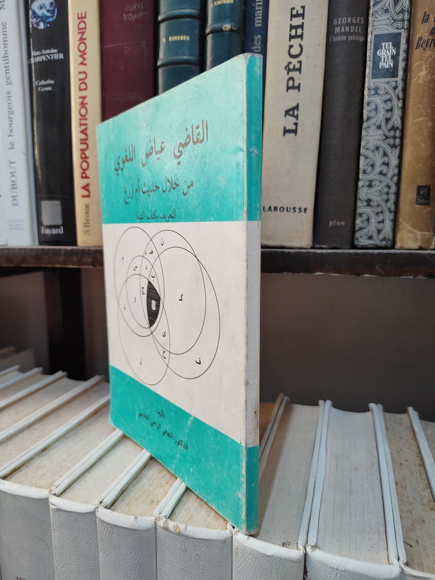 الهاشمي - القاضي عياض اللغوي