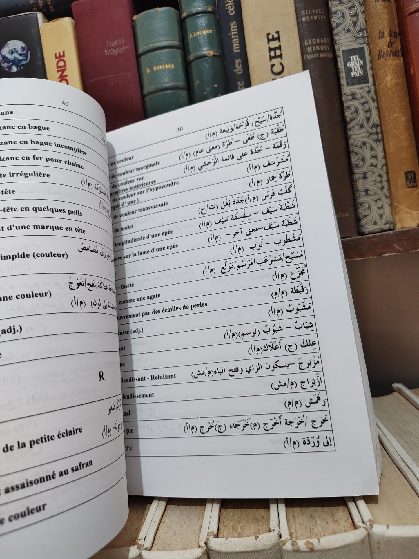 بلقزيز - حضلرة و ثقافة عبر اصباغ و الوان