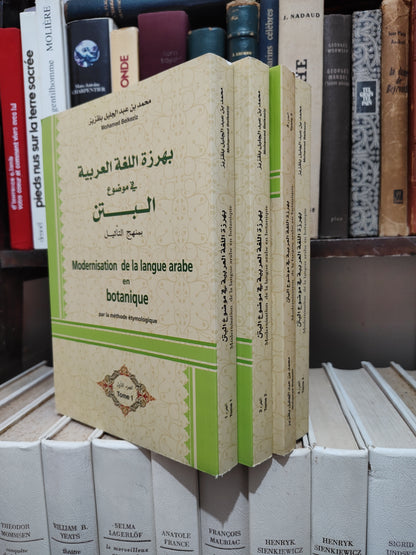 بلقزيز - بهرزة اللغة اللعربية في موضوع البتن