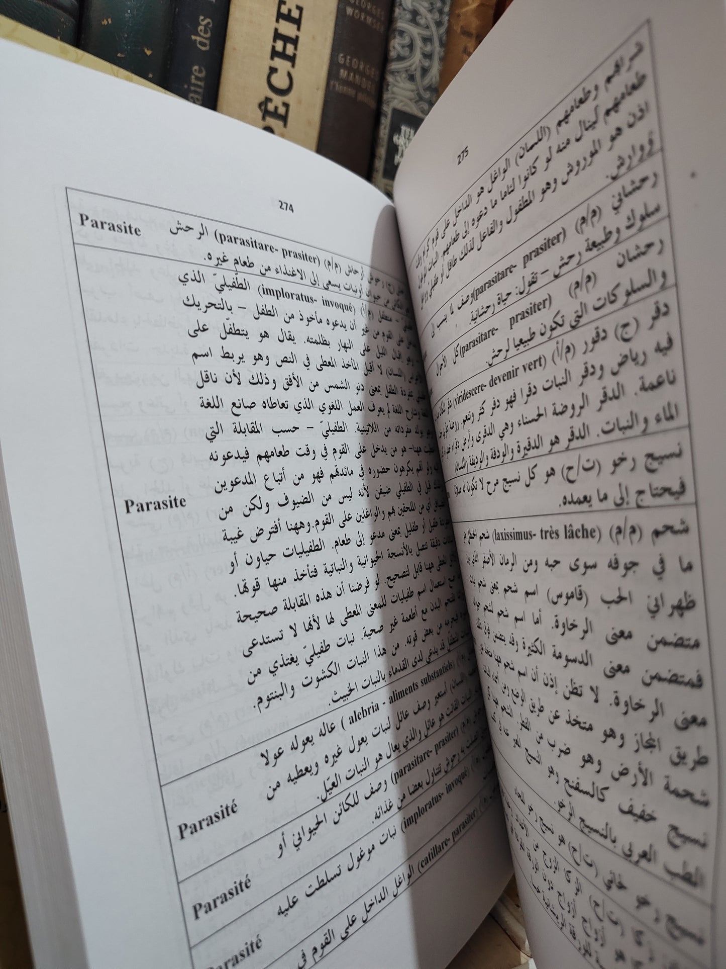 بلقزيز - بهرزة اللغة اللعربية في موضوع البتن