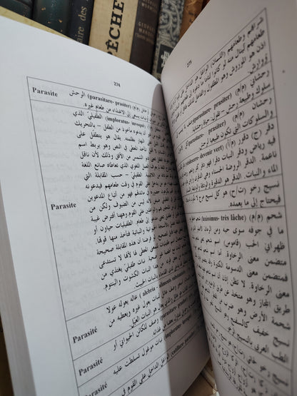 بلقزيز - بهرزة اللغة اللعربية في موضوع البتن