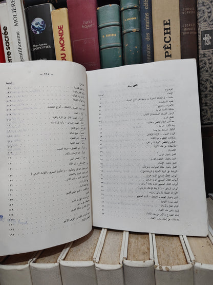 شاهين - المنهج الصوتي للبنية العربية