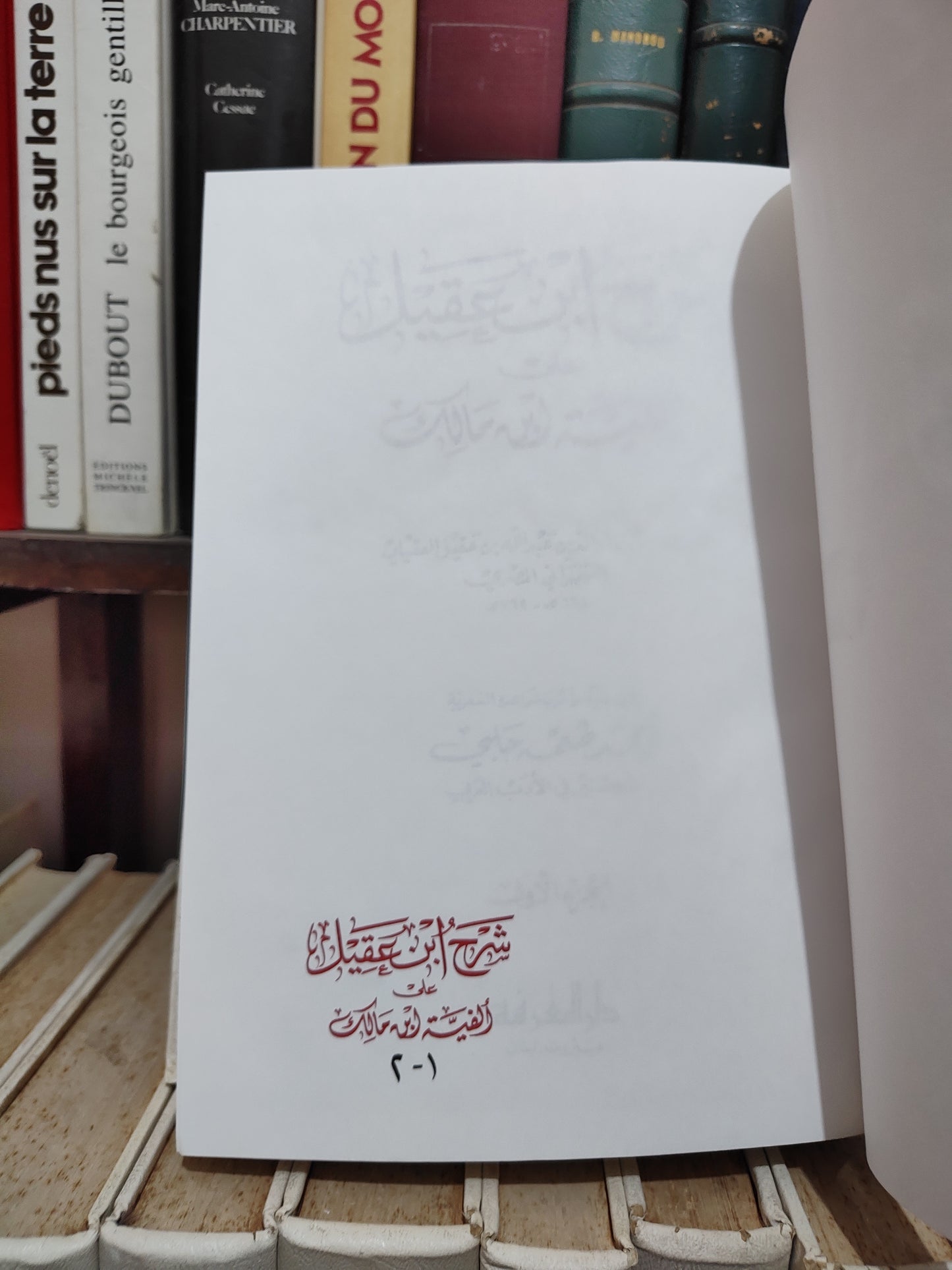 شرح ابن عقيل على الفية ابن مالك