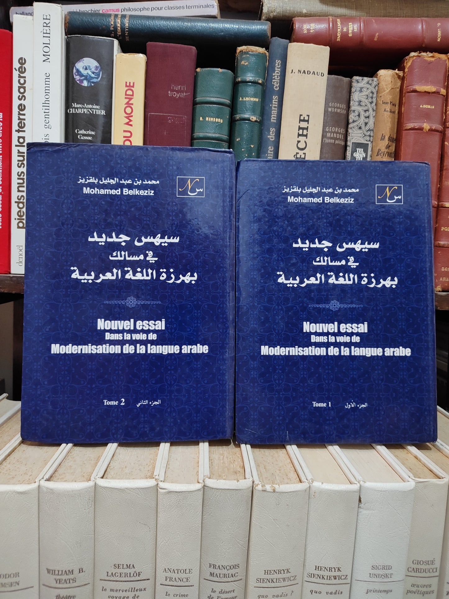 بلقزيز - سيهس جديد في مسالك بهرزة اللغة العربية