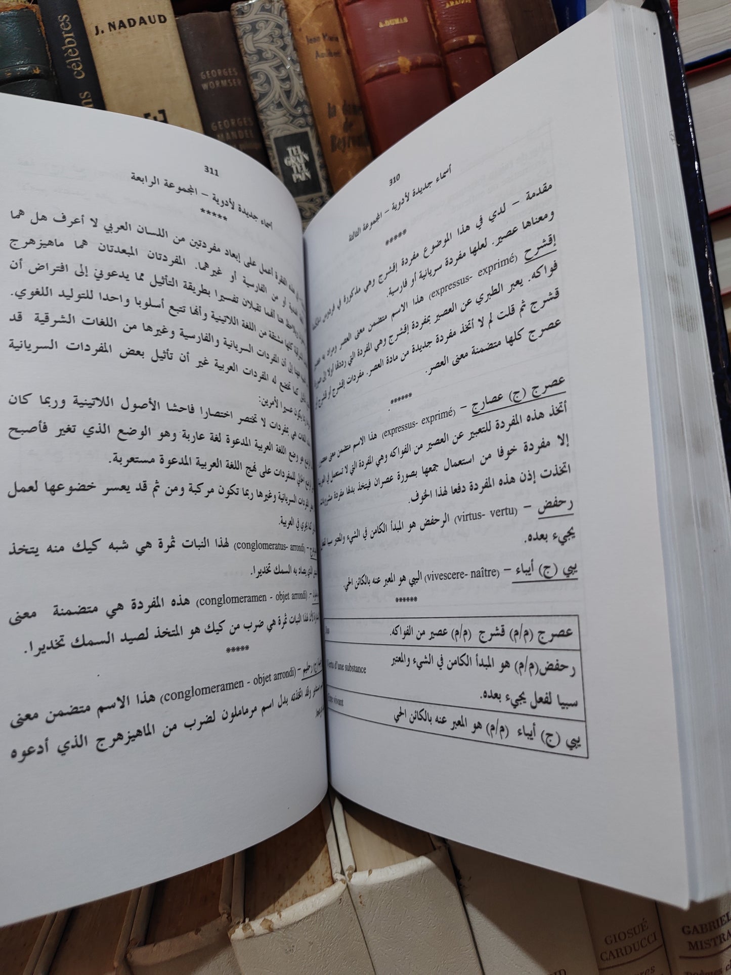 بلقزيز - سيهس جديد في مسالك بهرزة اللغة العربية