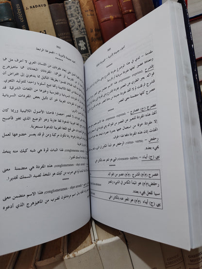 بلقزيز - سيهس جديد في مسالك بهرزة اللغة العربية