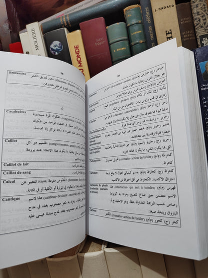 بلقزيز - سيهس جديد في مسالك بهرزة اللغة العربية