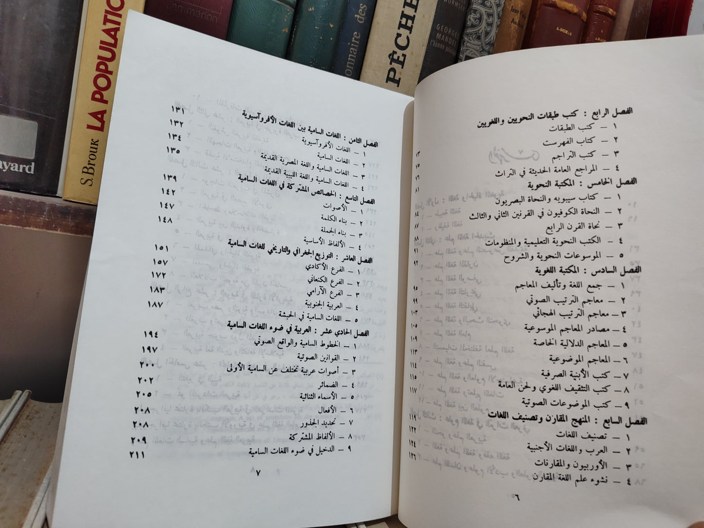 حجازي - علم اللغة العربية