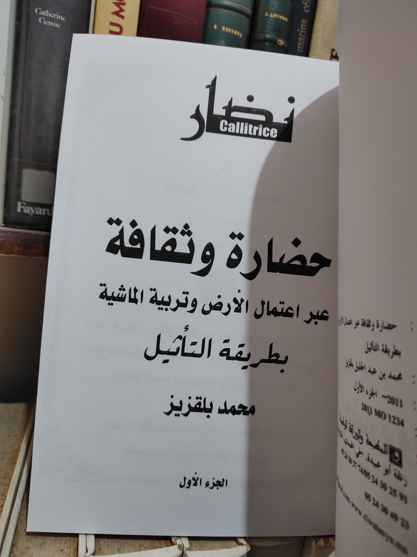بلقزيز - حضارة و ثقافة عبراعتمال الارض و تربية الماشية
