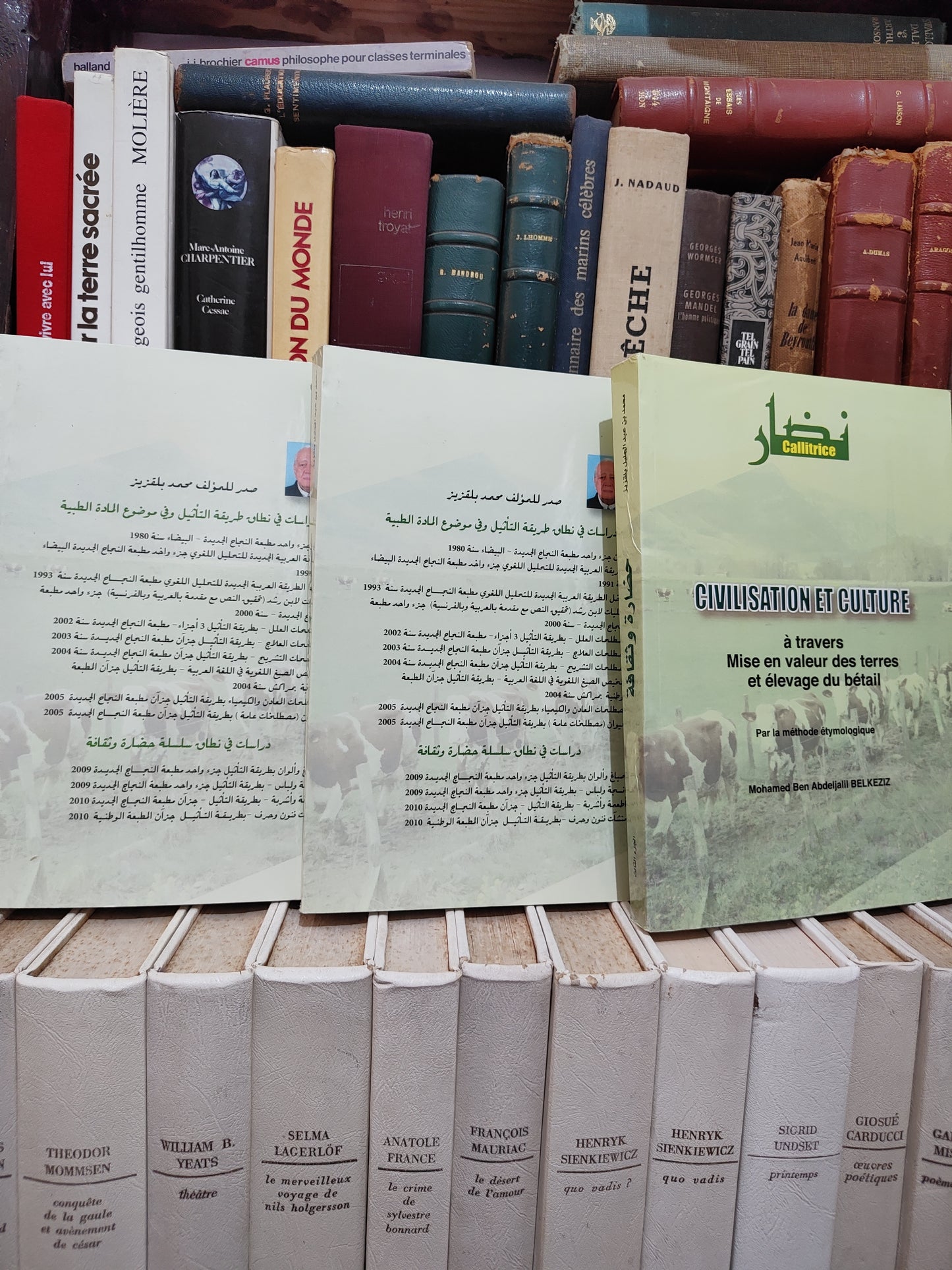 بلقزيز - حضارة و ثقافة عبراعتمال الارض و تربية الماشية