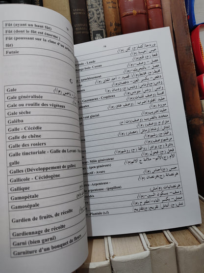 بلقزيز - حضارة و ثقافة عبراعتمال الارض و تربية الماشية