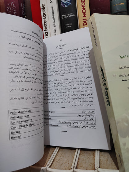 بلقزيز - حضارة و ثقافة عبراعتمال الارض و تربية الماشية