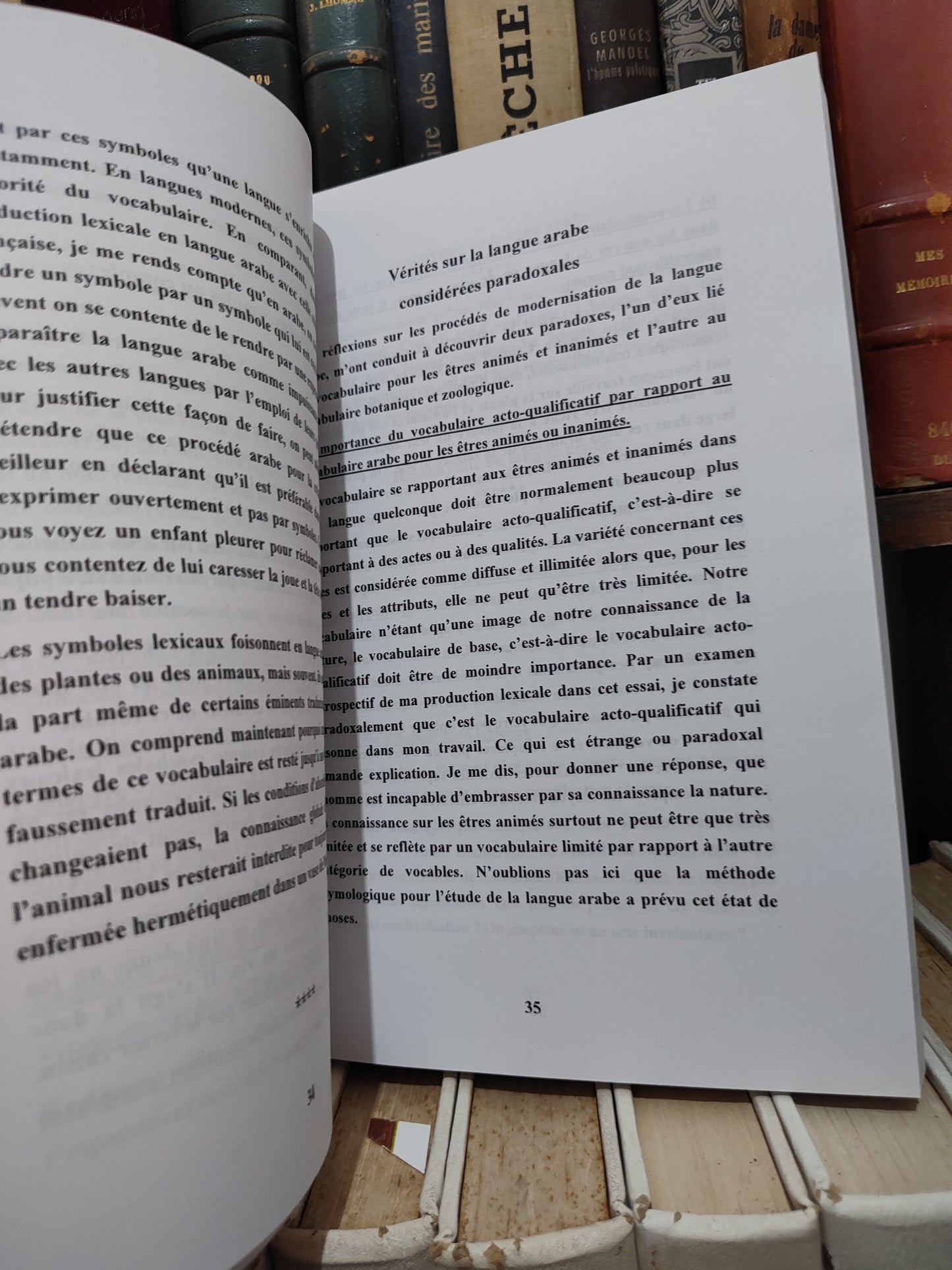 بلقزيز - منهج التاثيل و بهرزة اللغة العربية