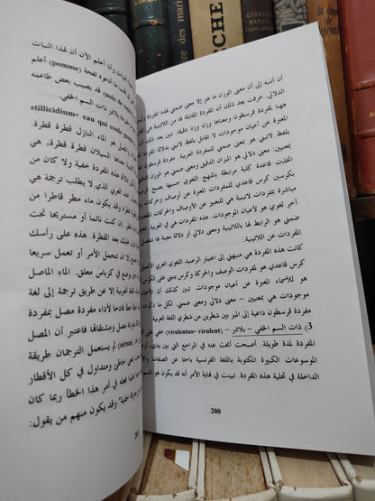بلقزيز - منهج التاثيل و بهرزة اللغة العربية