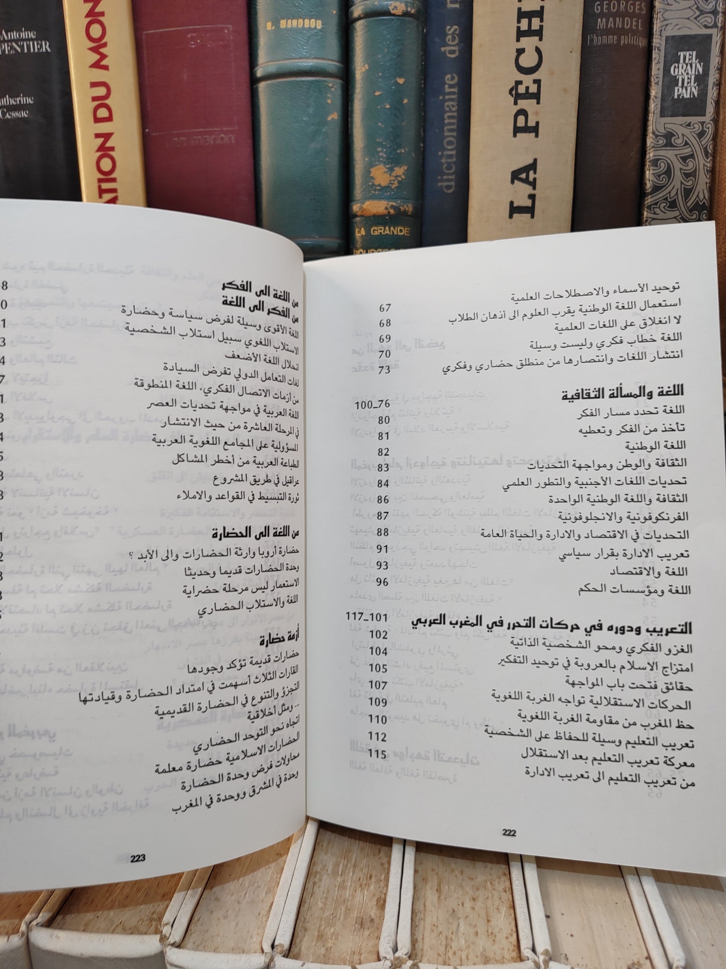 غلاب - من اللغة الى الفكر